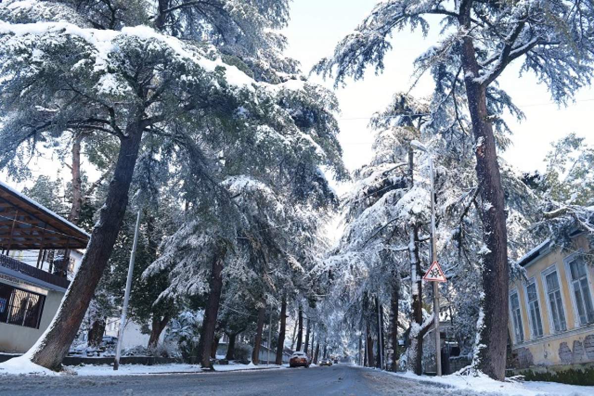 Este viscol și ger în România. De când vor începe să crească temperaturile