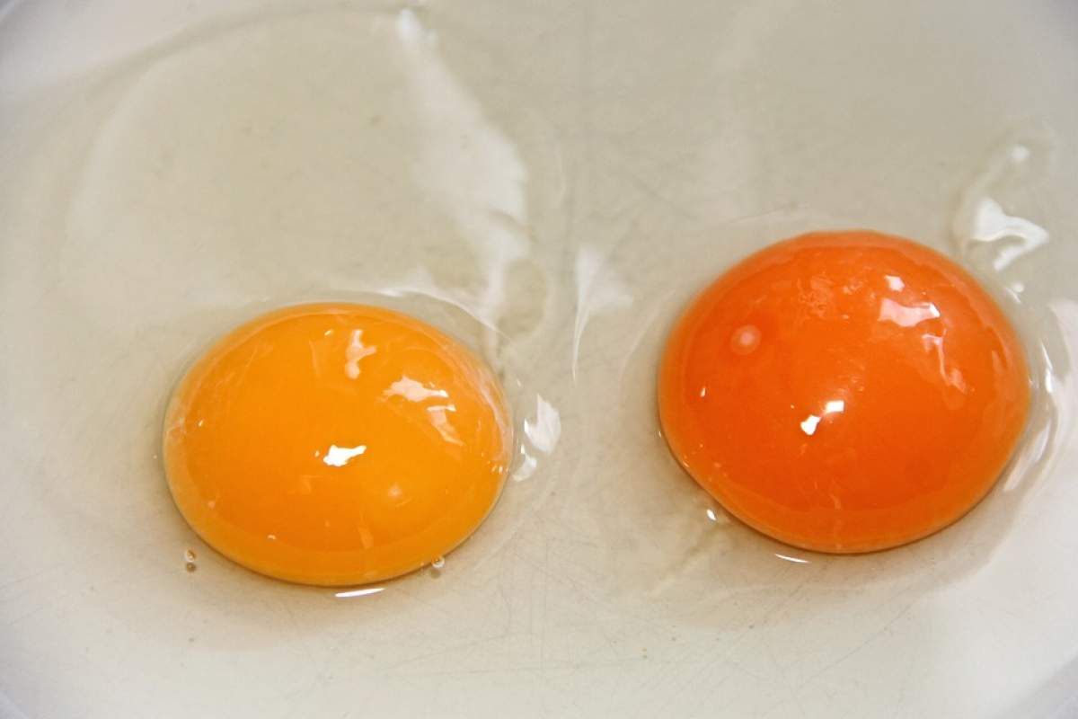 Dacă mănânci două ouă pe zi, se întâmplă acest lucru cu corpul tău