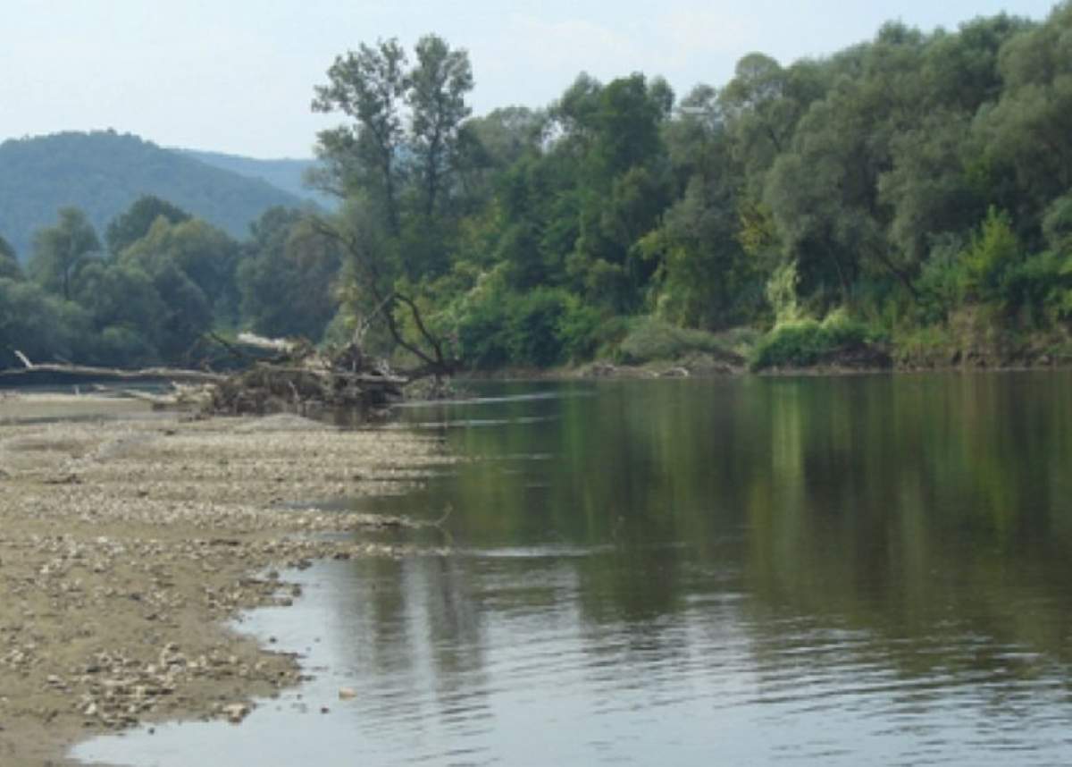VIDEO / Terifiant! Ce au descoperit poliţiştii în râul Mureş. Era acolo de câteva zile