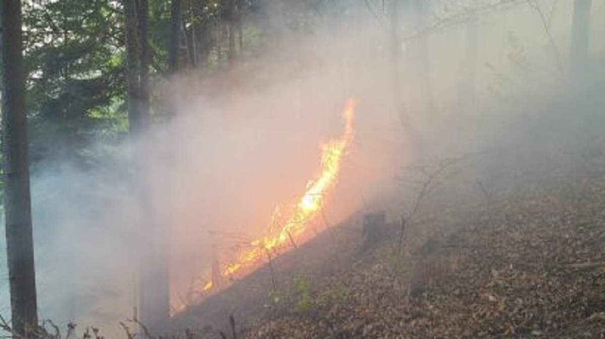 Incendiu devastator în Bacău! Zeci de pompieri intervin pentru a stinge flăcările. În zonă s-a găsit muniţie neexplodată