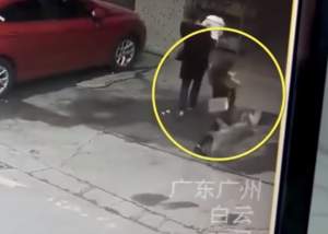 VIDEO / O femeie a ajuns la spital după ce i-a căzut un câine în cap. Imaginile sunt virale