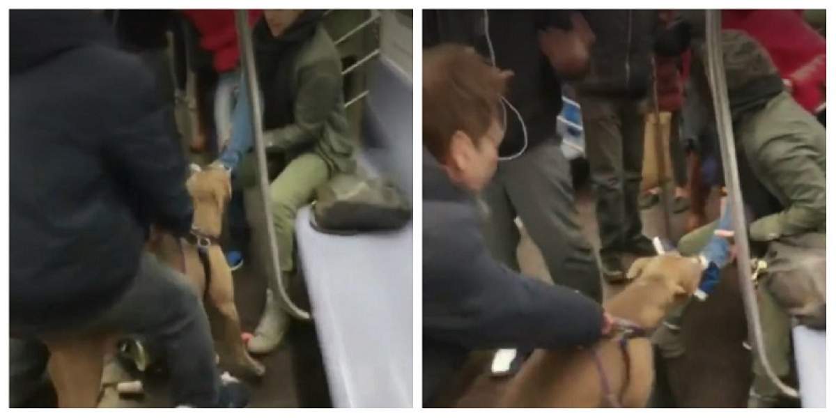 VIDEO / Panică la metrou! O femeie a fost atacată de un câine în tren. Călătorii au fost îngroziți