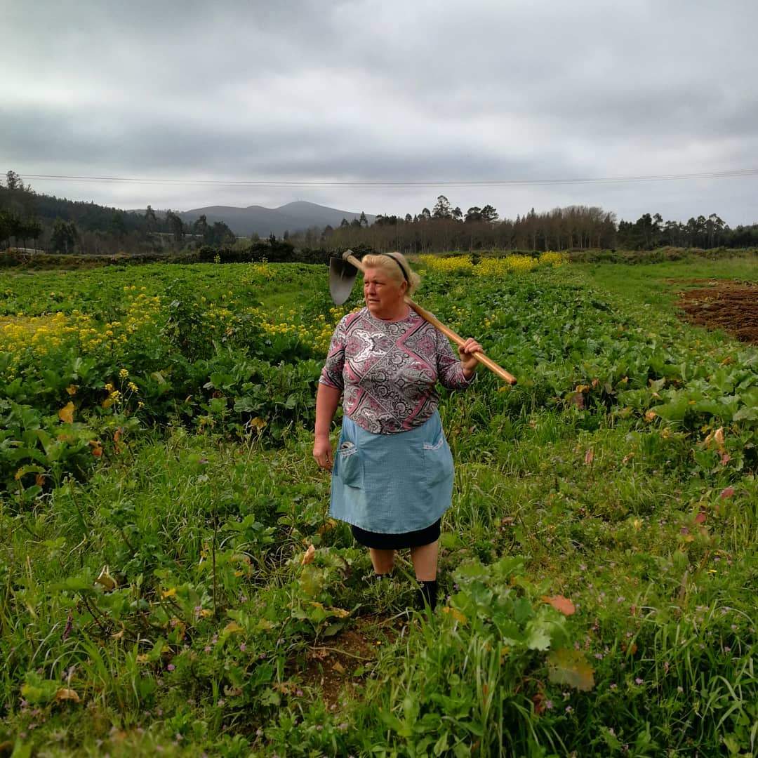 Большегрудая бабушка. Бабка с мотыгой. Бабушка с тяпкой в огороде. Бабка с тяпкой. Бабка в поле.