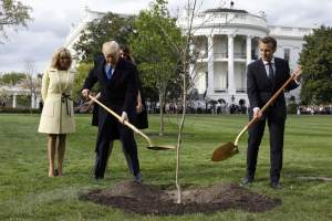 Copacul plantat la Casa Albă de Donald Trump și Emmanuel Macron a dispărut