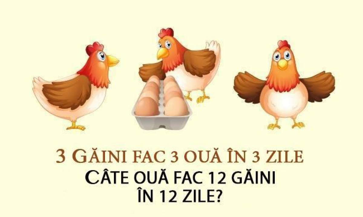 Problema de clasa I-a pe care mulți oameni nu știu să o rezolve. Câte ouă fac 12 gâini în 12 zile?