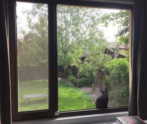 FOTO / Şi-a pozat grădina, dar altceva a atras atenţia! Ce a apărut la geamul Simonei Gherghe dis-de-dimineaţă