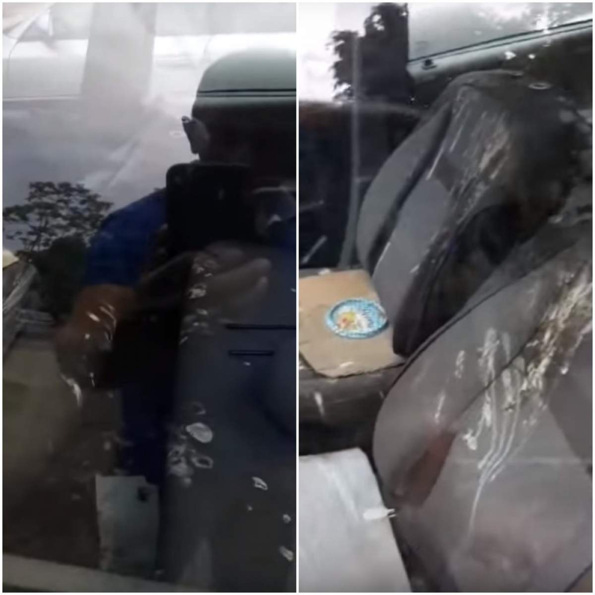 VIDEO / Un șofer din Satu Mare și-a găsit interiorul mașinii distrus complet. Când a văzut cine era “inculpatul”, nu i-a venit să creadă!