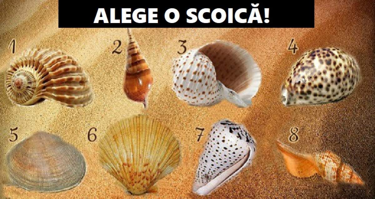 TEST: Alege o scoică pentru a descoperi care e lucrul cu care nu te mândrești absolut deloc