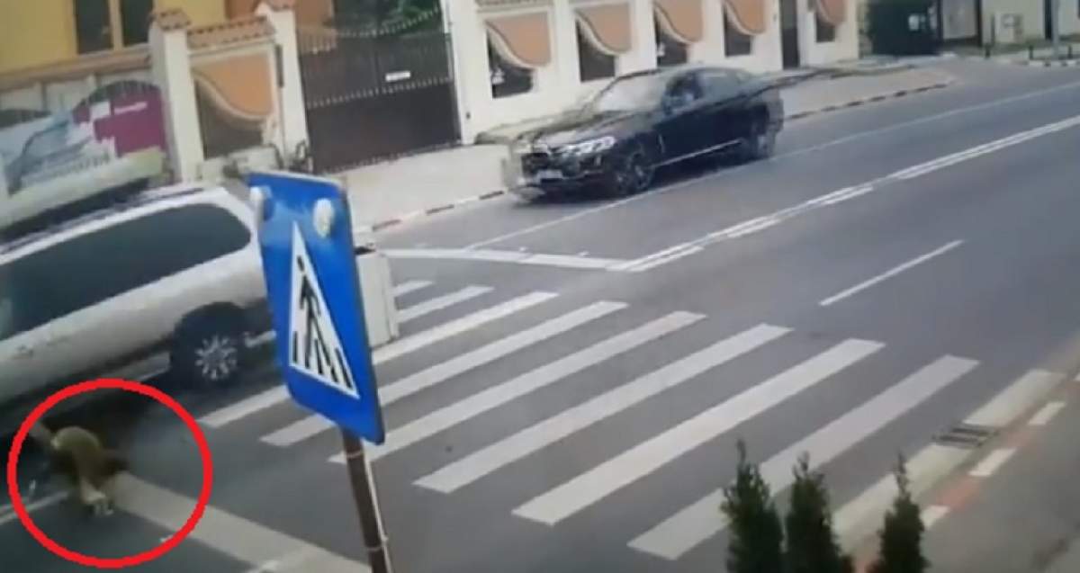 VIDEO / Teribil accident în Bucureşti! O femeie este spulberată pe trecerea de pietoni, în Pipera