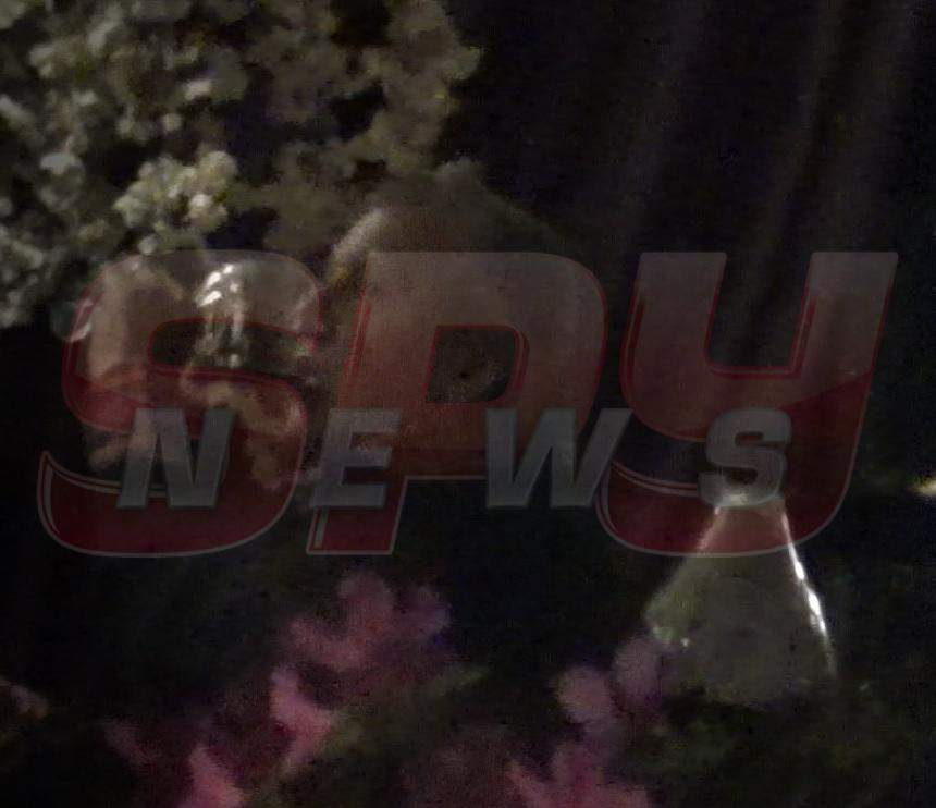 VIDEO PAPARAZZI / Ilie Năstase şi-a înecat amarul divorţului într-un bar! Imagini exclusive cu fostul tenismen