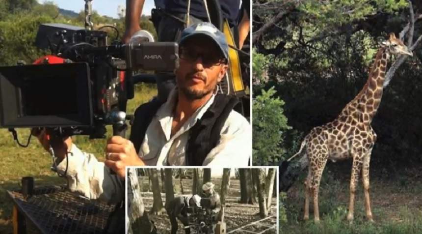 FOTO / Destin crunt! Un regizor a murit după ce a fost lovit de o girafă, în timpul filmărilor