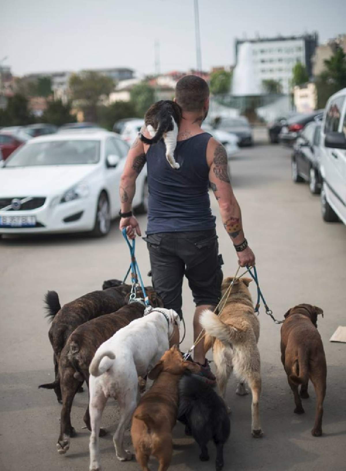 Imaginea zilei pe străzile din Bucureşti! "Băiatul acela merită tot respectul şi susţinerea!"