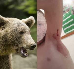 Băiat de 9 ani din Harghita, atacat de urs! Minorul se afla cu vacile la păscut, împreună cu tatăl său