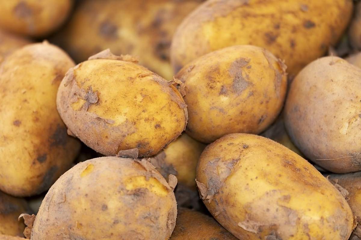 ÎNTREBAREA ZILEI: Ce se întâmplă dacă bagi la microunde un cartof cu scobitori? Vei fi de-a dreptul uimit