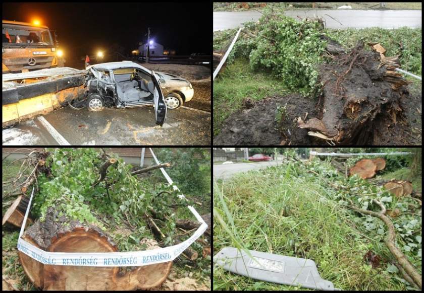 FOTO / Accident teribil petrecut în Ungaria.  Tatăl, două fiice și o nepoată au murit pe loc după ce un copac uriaș s-a prăbușit peste maşină