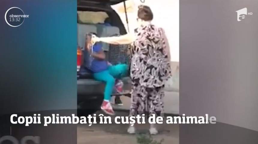 VIDEO / Copii transportați ca niște animale, de propria bunică! I-a închis în cuști și i-a lăsat să se sufoce