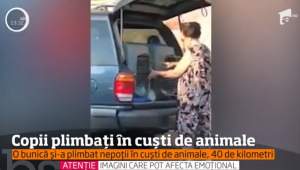 VIDEO / Copii transportați ca niște animale, de propria bunică! I-a închis în cuști și i-a lăsat să se sufoce