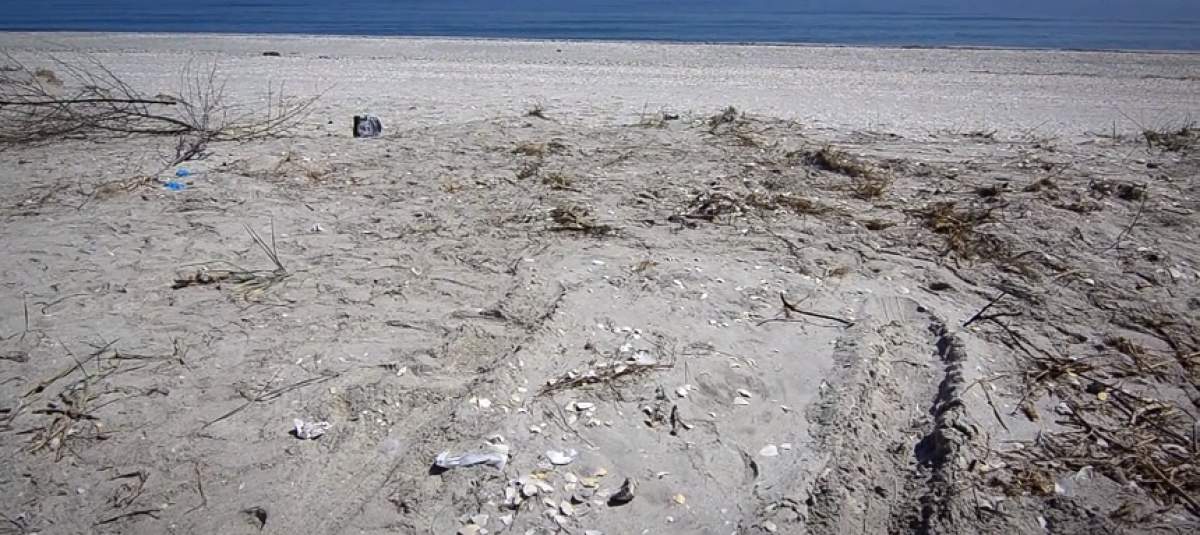 Descoperire şocantă pe plaja din Vadu Două trupuri neînsufleţite, aduse la mal. Cine sunt cei doi