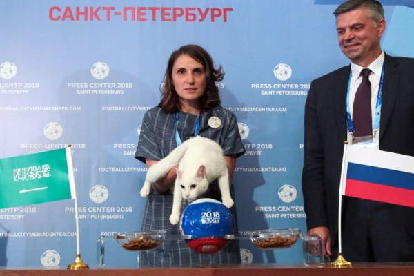 FOTO&VIDEO / El este Ahile, pisoiul prezicător! A ales câștigătorul meciului de deschidere a Cupei Mondiale 2018