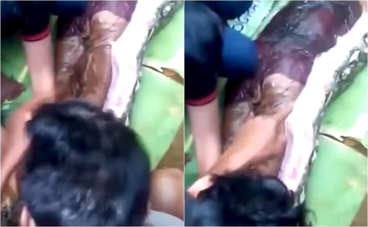 VIDEO ȘOCANT! / O femeie a fost mâncată de vie de un piton, apoi scoasă de vecini din interiorul reptilei