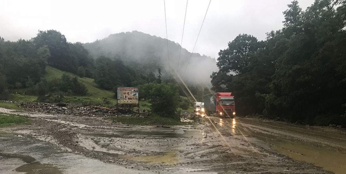 FOTO / Vremea rea a făcut ravagii în țară. 60 de localități din 14 județe, afectate după vijelie