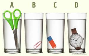 TEST: Care dintre cele patru pahare are cea mai multă apă?