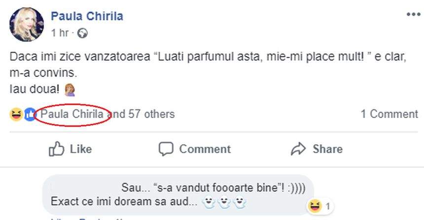 Paula Chirilă, gafă pe internet. A văzut toată lumea