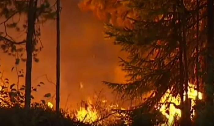 VIDEO / Incendii devastatoare şi în Suedia. MAE, atenţionare de ultim moment pentru români