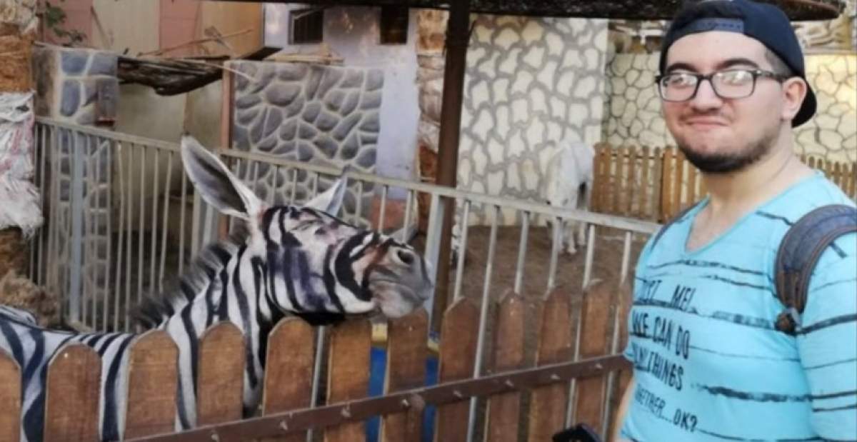 VIDEO / Măgar pictat în dungi de o grădină zoologică, pentru a părea că e zebră