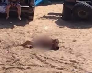 Imagini şocante pe plajă! Un cuplu a întreţinut relaţii intime de faţă cu ceilalţi turişti