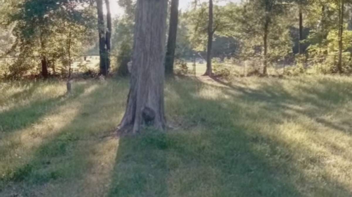 FOTO & VIDEO / S-au uitat pe Google Maps şi le-a îngheţat sângele în vene. Terifiant ce a fost surprins într-un cimitir