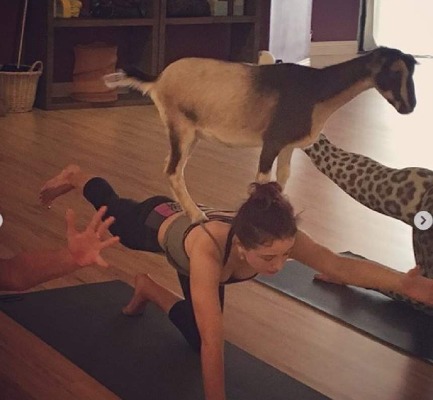 Are 45 de ani şi 49 de kilograme. Kate Beckinsale face yoga cu capre pentru a fi în formă