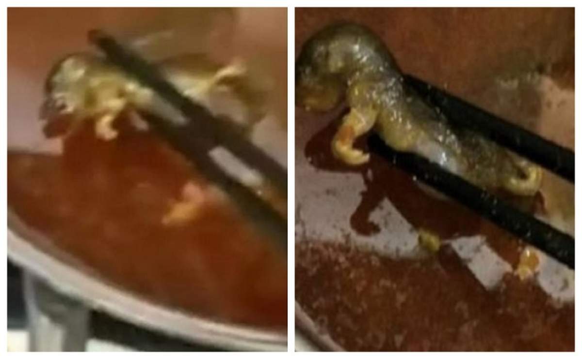 Și-a comandat o supă, iar când a luat prima înghițitură a împietrit! O gravidă a trăit șocul vieții într-un restaurant