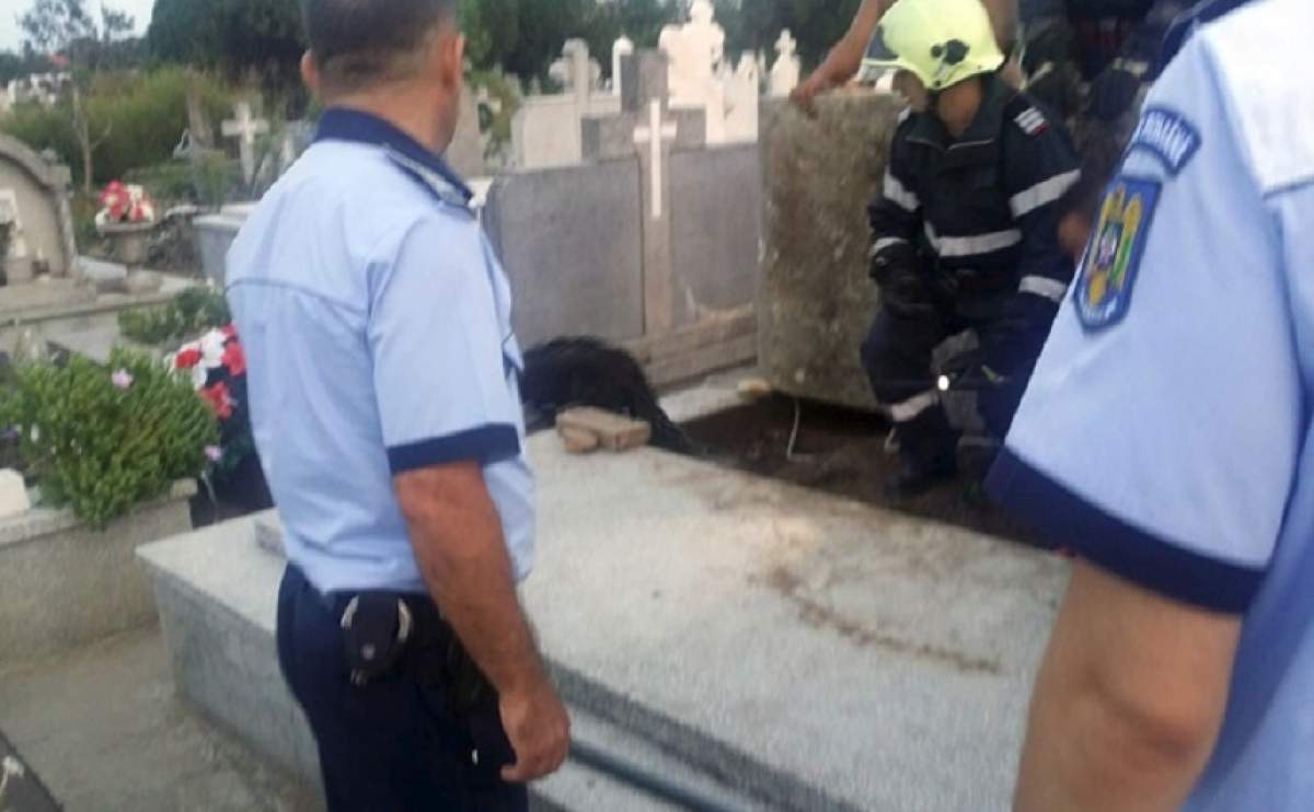 Câine îngropat de viu, într-un cimitir din Timiş! Groparii au ştiut foarte bine ce fac