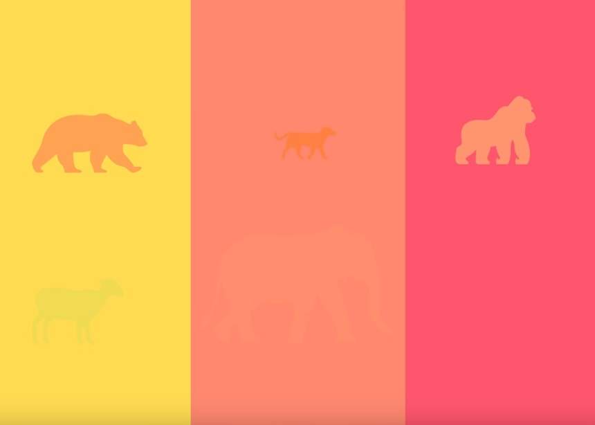 TEST: Toată lumea se chinuie să dea răspunsul corect! Câte animale sunt în imagine?