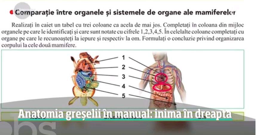 VIDEO / Greşeli grave în manualul de Biologie de clasa a VI-a