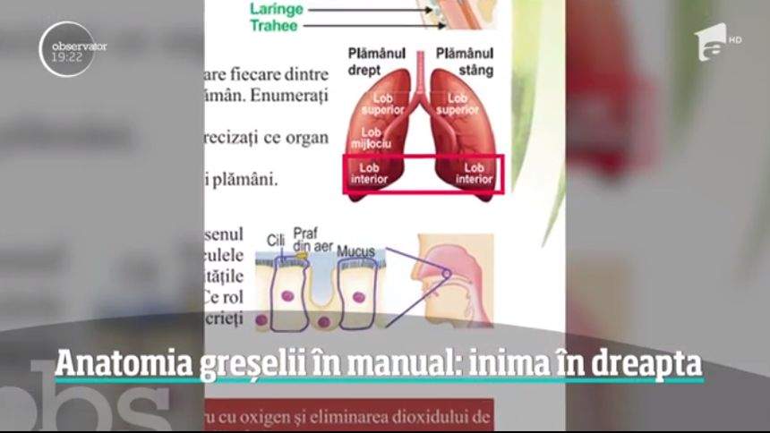 VIDEO / Greşeli grave în manualul de Biologie de clasa a VI-a