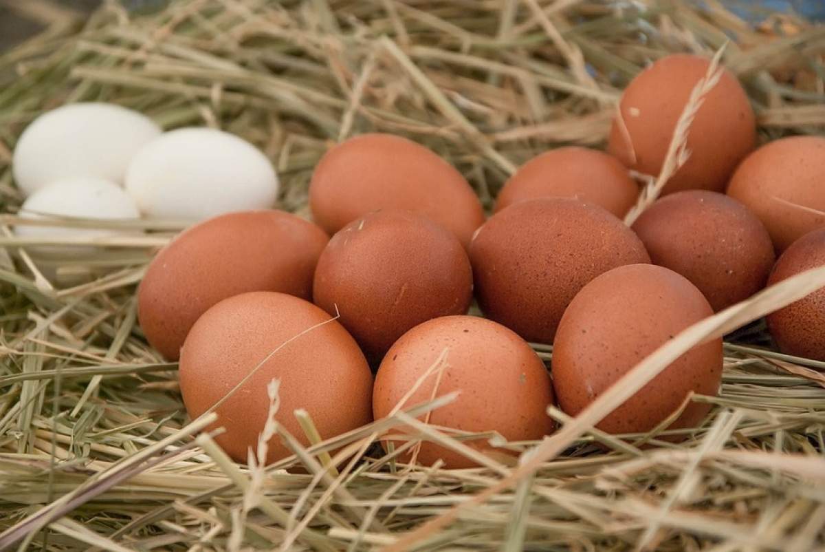 Care este diferența dintre un ou cu coajă albă și unul cu coajă maronie? Experții au răspunsul