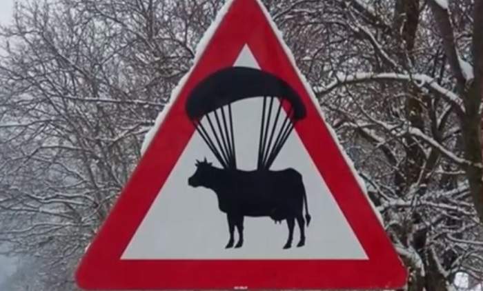 FOTO / Atenție, se parașutează vaci. Indicatorul rutier care încurcă șoferii din Hunedoara