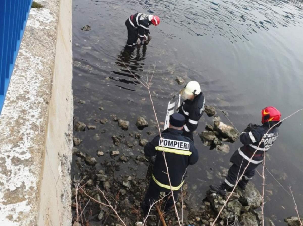 Descoperire macabră în Maramureş! Zăcea fără suflare sub un pod