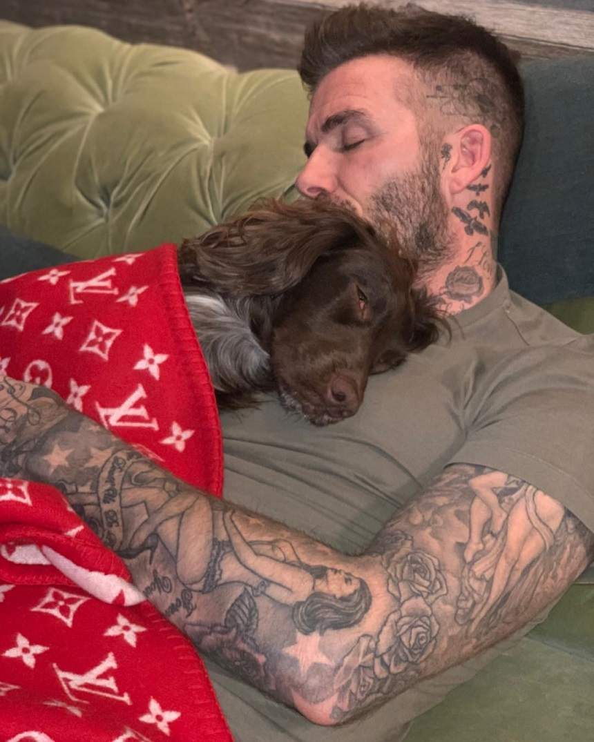 FOTO / David Beckham, un mare iubitor de animale! Cum şi-a surprins vedeta admiratorii