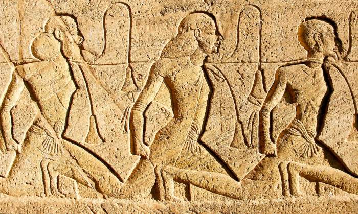 Pașaport emis pe numele lui Ramses, pentru a-i transporta mumia de 3000 de ani la Paris. Cum arată documentul