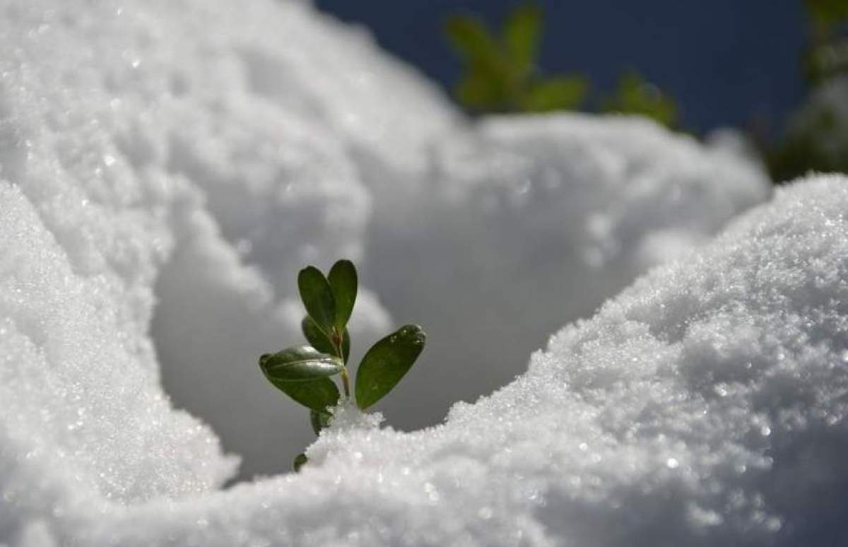 Schimbare bruscă a vremii. ANM anunţă că vine primăvara!