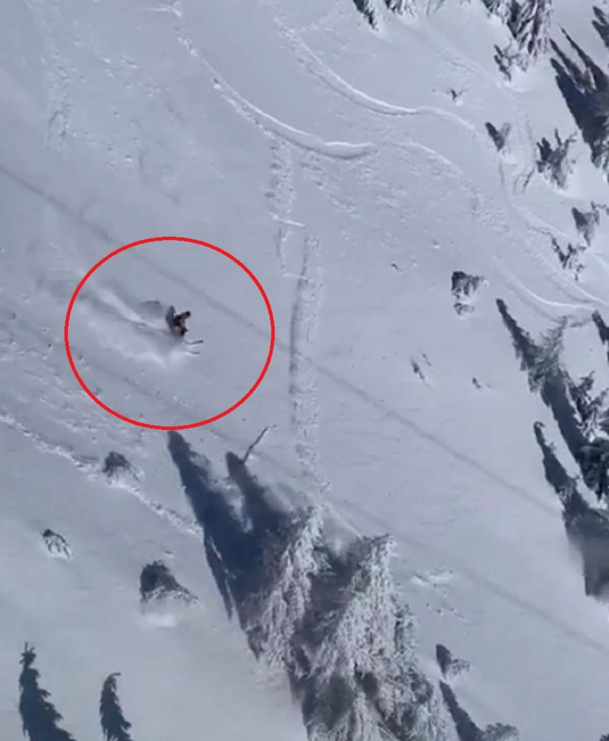 VIDEO / Un turist a fost prins de avalanșă, în Sinaia! A ignorat complet avertismentele și s-a aventurat într-un loc periculos