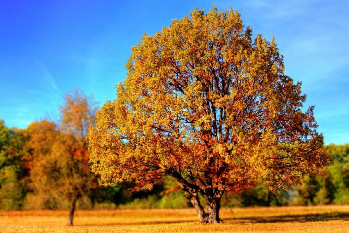 Toamnă ''toridă'' în România. Meteorologii anunță temperaturi apropiate de 30 de grade, în zilele următoare