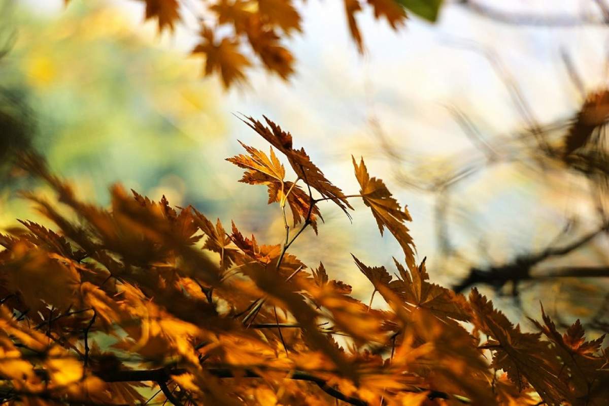 Prognoza meteo 31 octombrie. Cum va fi vremea în București, Iaşi, Constanţa sau Cluj