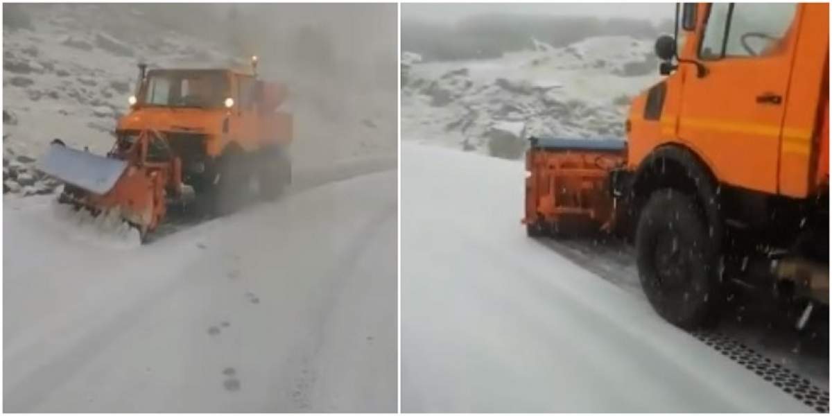 Ninge ca în povești pe Transfăgărășan! Drumarii au intervenit în forță. VIDEO