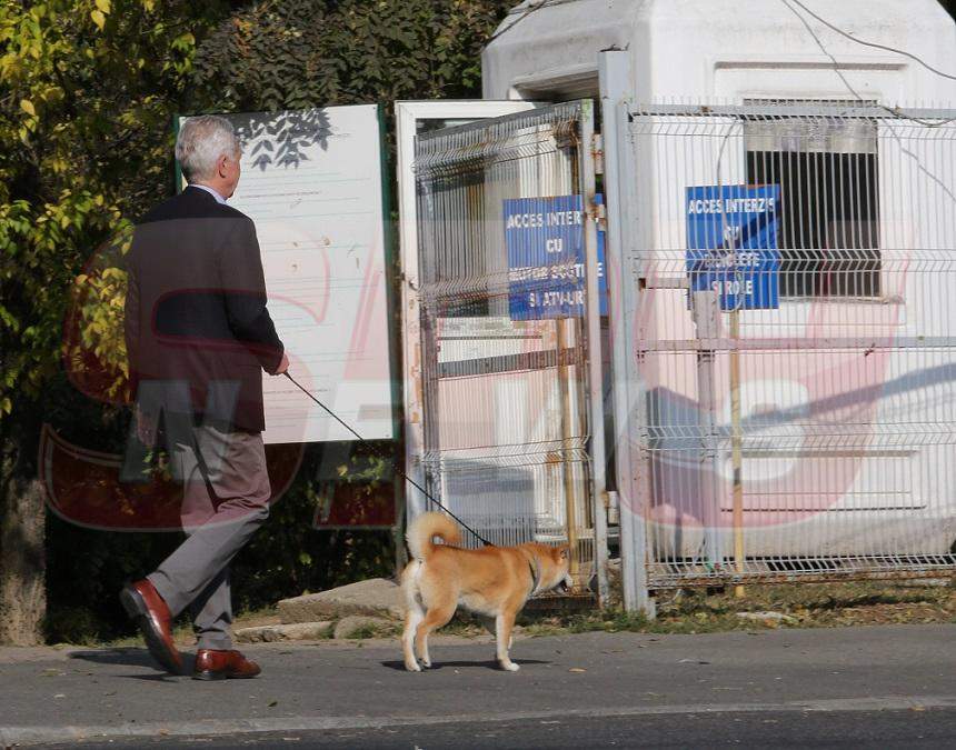 VIDEO PAPARAZZI / Imagini rare cu omul de încredere al lui Donald Trump! Iată ce face în timpul liber ambasadorul SUA în România