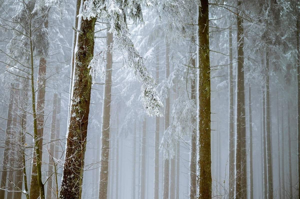 Prognoza meteo 12 decembrie. Cum va fi vremea în Bucureşti, Iaşi, Constanţa sau Cluj