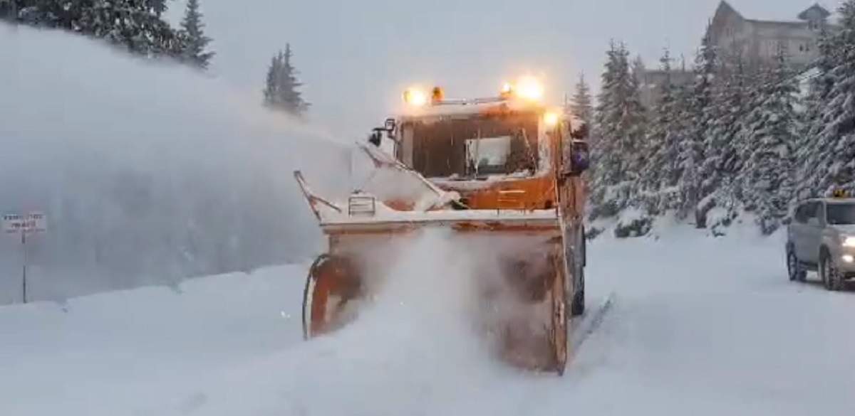 Ninge abundent în România! Imagini cu locul unde zăpada a atins și 20 de centimetri / VIDEO